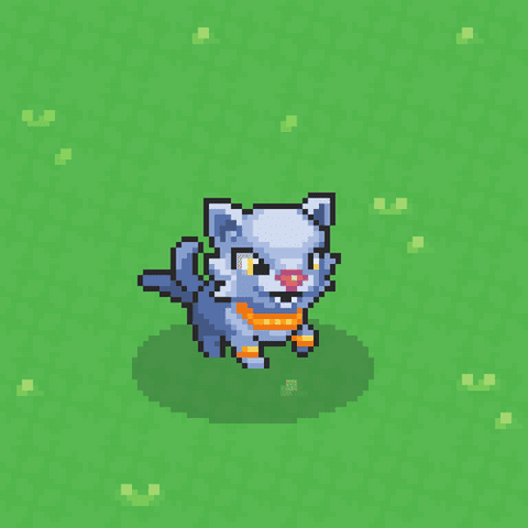 Malandrix: a grey-blue cat with yellow eyes and a golden collar, mid-step on grass.